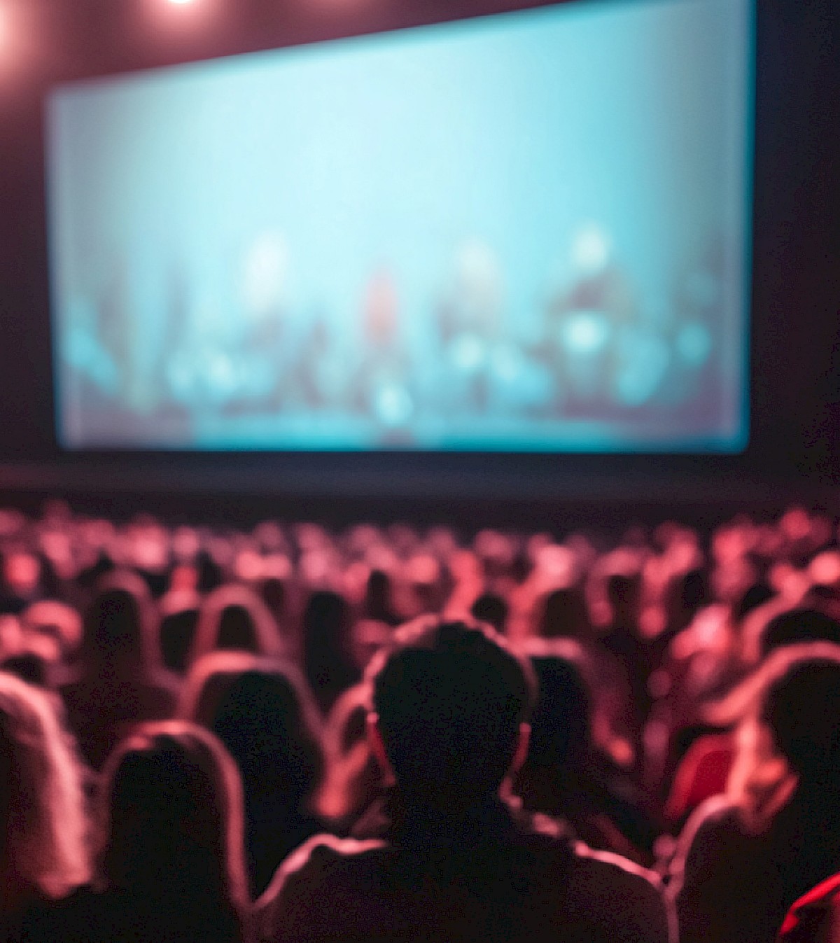 Must See List for 2025